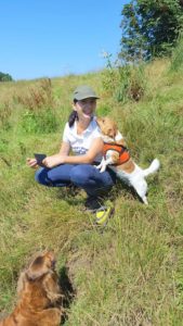 dog walkers Sale