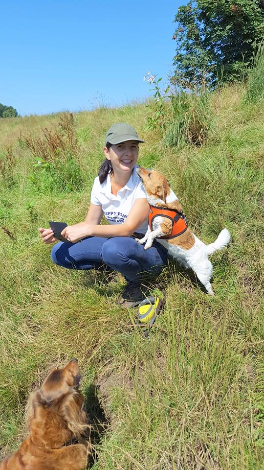 Reliable dog walker Sale