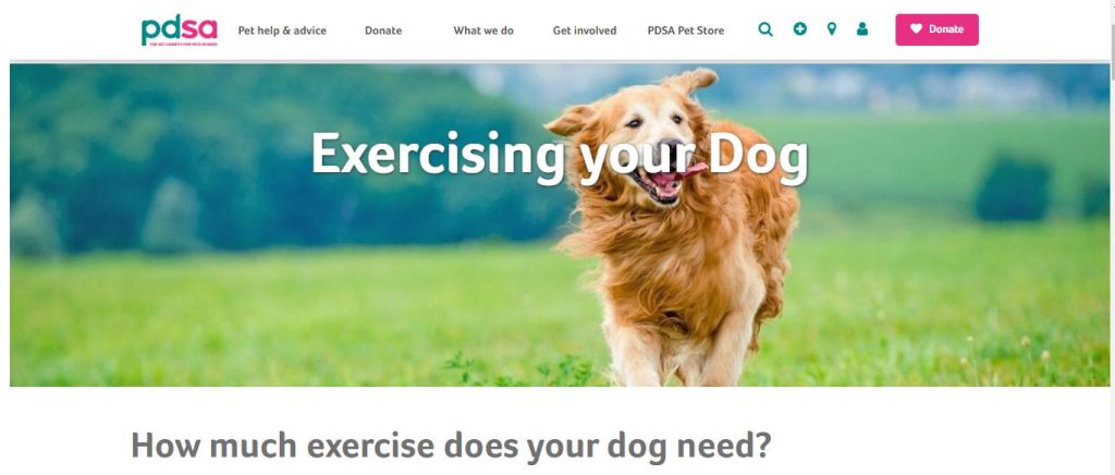 Dog Walking Sale